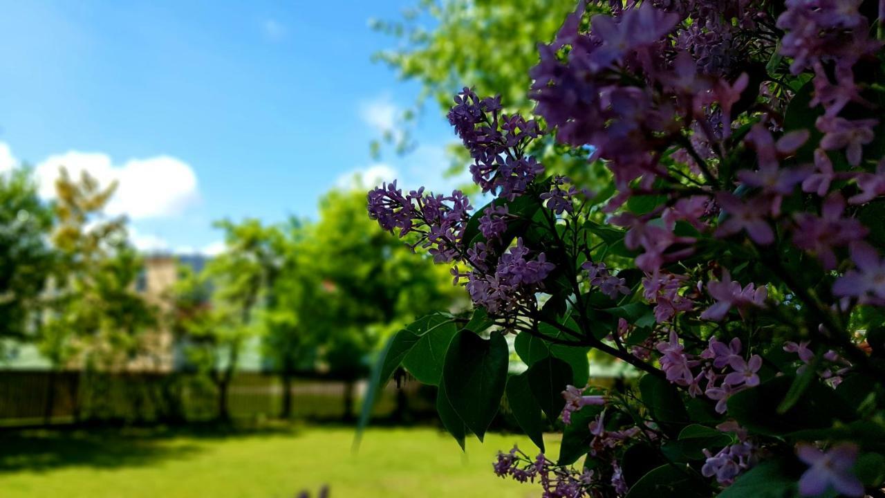 Villa Gracja Leba Bagian luar foto
